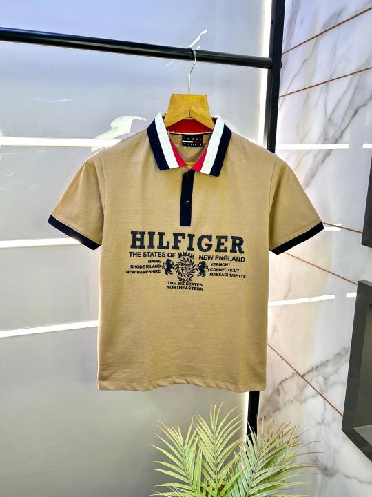 Sale Tommy_Hilfiger Brown Polo Premium Collar Neck T-shirt F2578-BR